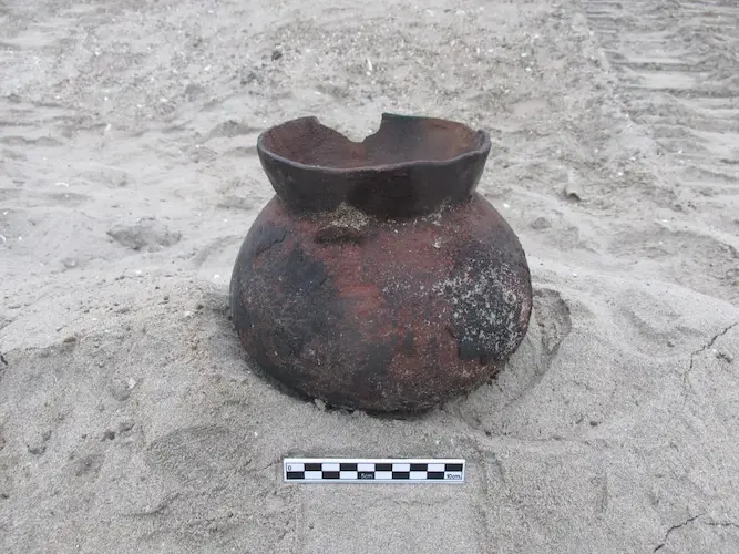 Estudios Arqueológicos